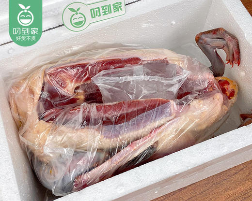 洛江山头水库散养270天黑羽土番鸭母（杀完带内脏1.9kg±200g/只） 商品图5