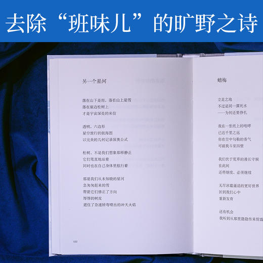 渡过自己的海底(我想和你虚度时光李元胜诗集，128首新作，更深邃，更开阔，搭建心灵的秘密营地)(李元胜) 商品图4