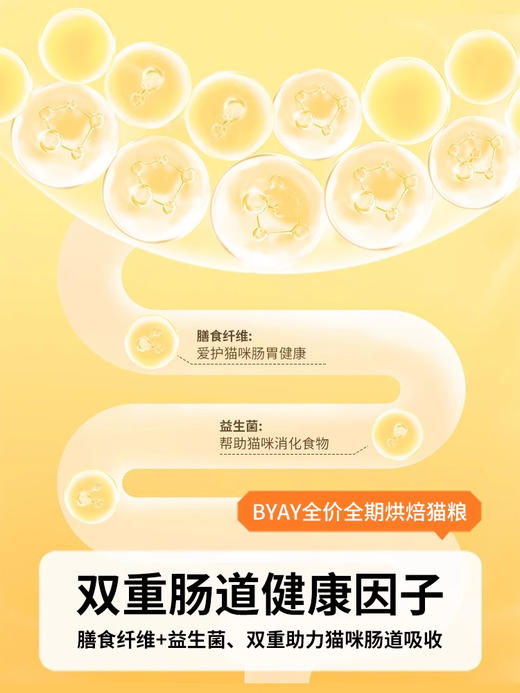 byay全价全期烘焙猫粮50g试吃 商品图3