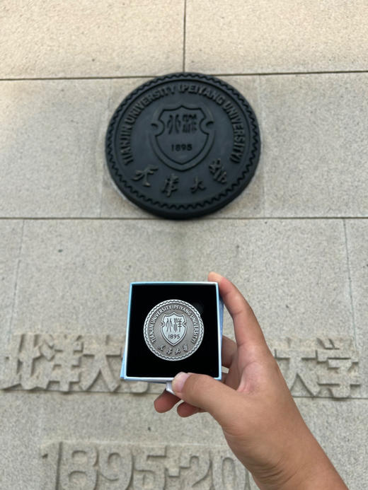 天大龙牌徽章 商品图3