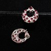 4.15ct 5.65g 红宝石耳钉 商品缩略图6