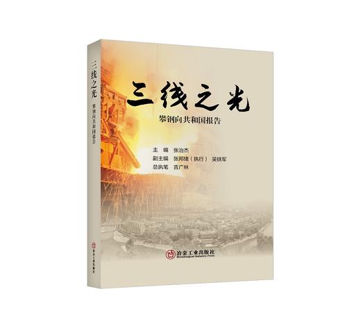 三线之光:攀钢向共和国报告／张治杰主编 商品图0