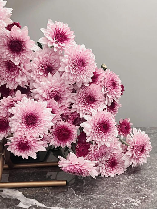 【AB级粉丹特小雏菊】5支/份 商品图2