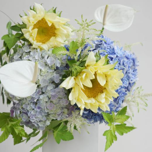 夏夜浅语 Poetry at Night 商品图1