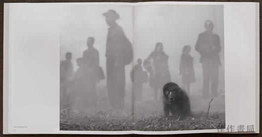 Nick Brandt: The Day May Break、Chapter Two / 尼克·勃兰特：黎明之日、第二章 商品图2