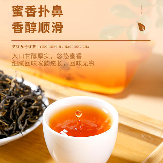 八百秀才2025年春茶 春语半斤装 商品图4