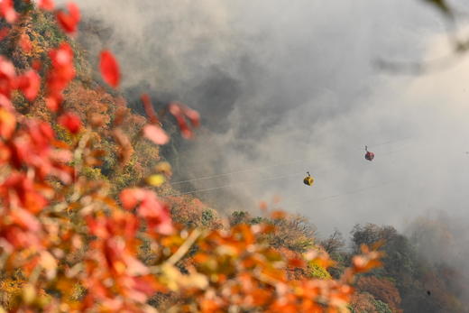 10.24确定出发【秋摄秦巴】红叶大道•光雾山•龙头山•黎坪红叶9天 商品图4