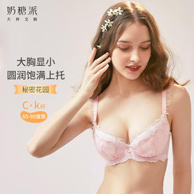 奶糖派大胸显小秘密花园夏季刺绣圆润饱满文胸上托侧收聚拢内衣女
