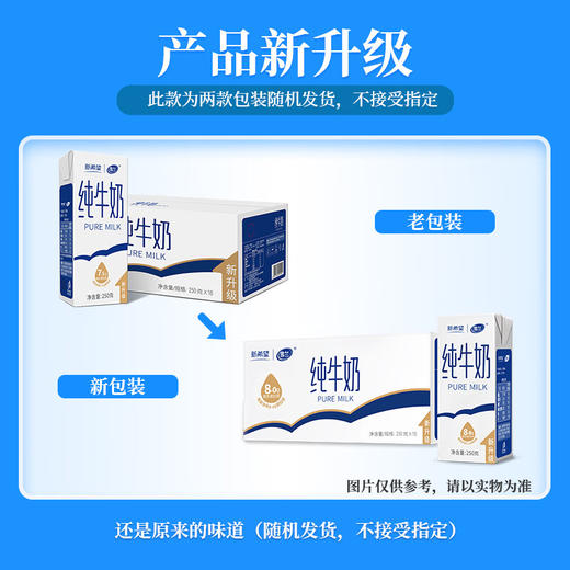 新希望苗条砖全脂纯牛奶早餐学生成人牛奶250g/盒3.0g/3.2g乳蛋白随机发 【1提装】全脂纯牛奶16盒 商品图5