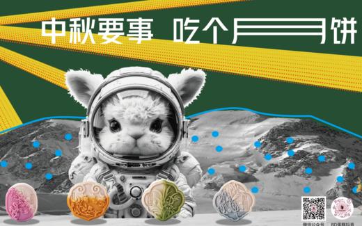 2024款月饼 商品图0