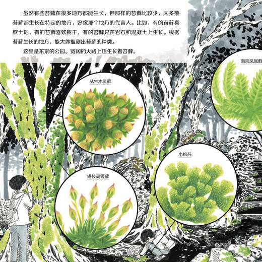 《大科学之友·如果我是达尔文》（共7册） 商品图9