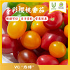 【3斤/5斤】多彩红+黄樱桃番茄组合 限时特惠 商品缩略图0