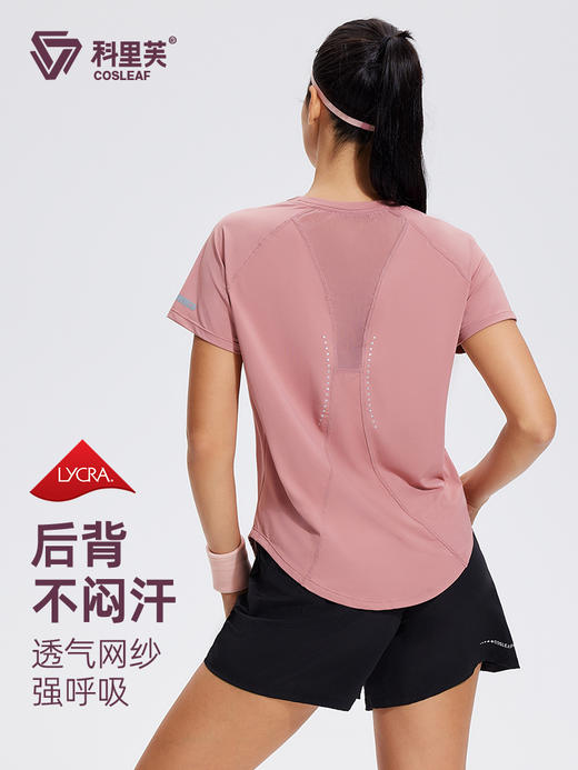 【热销】科里芙宽松版型后背拼网圆领运动速干短袖 商品图0