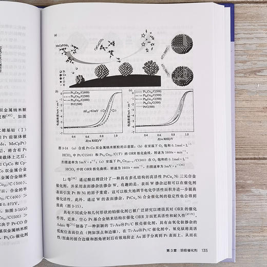 直接液体燃料电池--先进电化学能源存储与转化技术丛书 商品图10