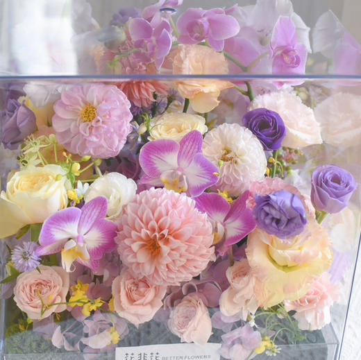 《玻璃晴朗》蝴蝶兰透视花盒 商品图6