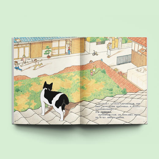 《大科学之友·如果我是达尔文》（共7册） 商品图4