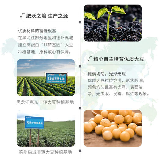 非转基因大豆油 无黄曲霉素去农残 商品图3