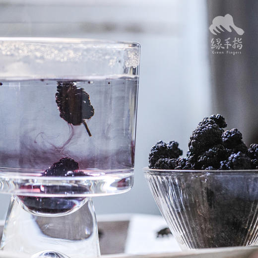 生态桑葚干（攀枝花桑葚） | 绿家自产*Eco-dried mulberries | In-House Production 商品图1