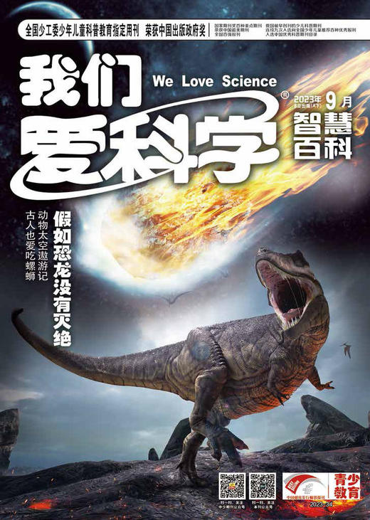 《我们爱科学少年版》魅力科学+智慧百科    2023年1-12月全年杂志 8-15岁适读 国家级少儿科普期刊 商品图14