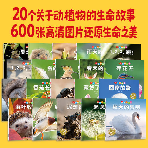 《科学的种子》全20册 商品图1