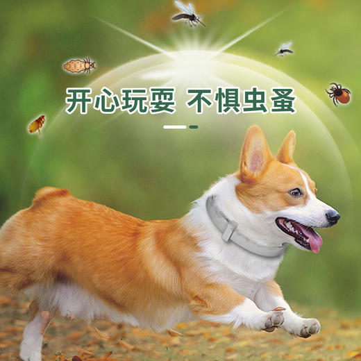 秒杀！防虫项圈 商品图0