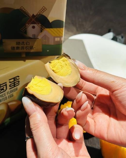 //【舌尖攻略无抗卤蛋】🏖️迎暑价✈️惊喜活动助力暑假出游～小累小饿，卤蛋搞定！ 暑期出行，没我不行🤗出游佐餐 商品图5