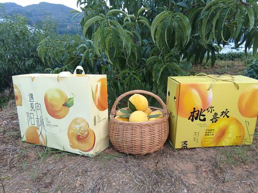 黄桃精选二级果10斤装 商品图0