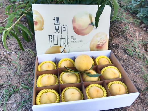 黄桃精选二级果10斤装 商品图2