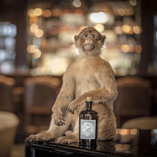 猴王47黑森林干金酒风味配制酒 500ml 商品图3