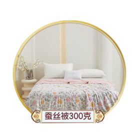 辑里蚕丝被抢购组