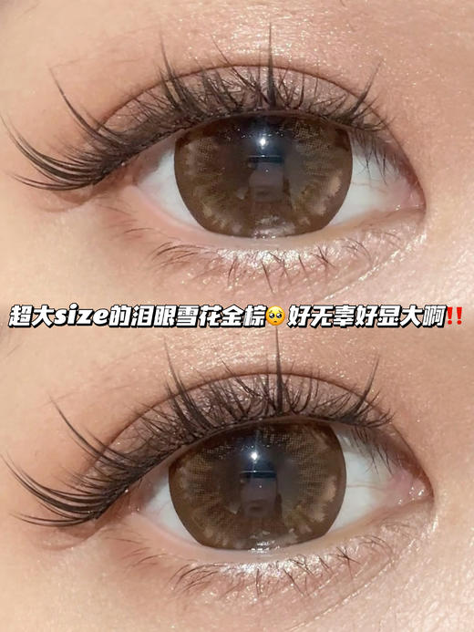 mochi 豆奶乳茶大雪花「含硅水凝胶」年抛型 商品图1