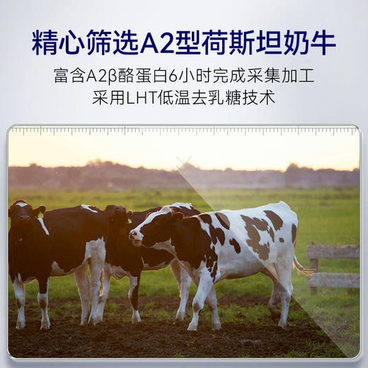 POZA贝因美萌宠系宠物零食鲜牛乳幼猫营养品补充剂猫咪发育牛奶（猫鲜牛乳  220ml*6瓶） 商品图4