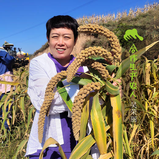 生态红芸豆（山西） | 合作生产 *Eco sour beans | Partner Production 商品图1