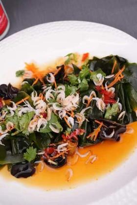 霞关鱼娘海带苗