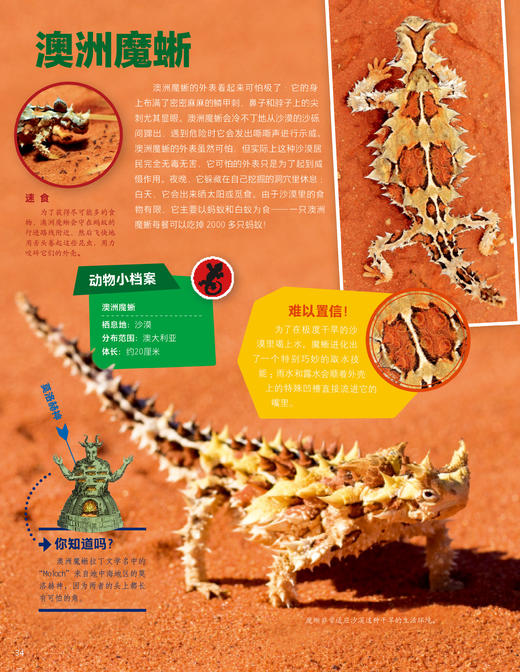 《德国少年儿童动物+植物大百科》（全2册） 商品图7