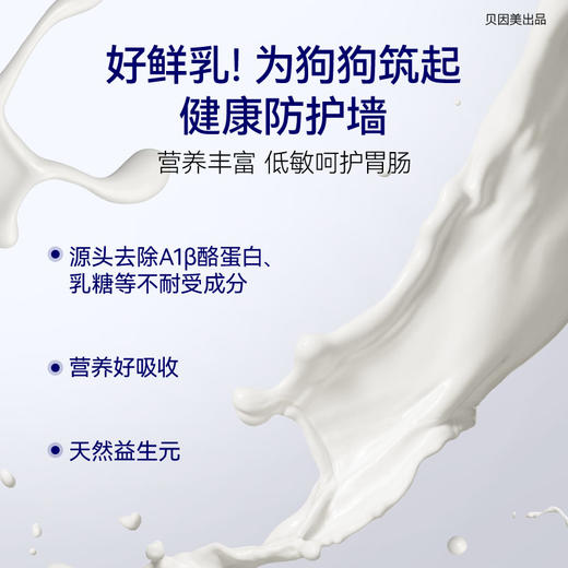 POZA贝因美萌宠系宠物鲜牛乳幼犬营养品补充剂狗狗专用发育牛奶（犬鲜牛乳  220ml*6瓶） 商品图2