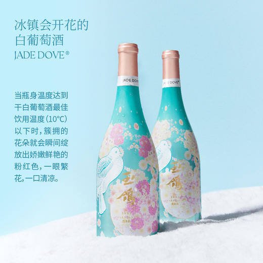 杞冠臻选 | 【西鸽酒庄】宁夏贺兰山 玉鸽®繁花干白葡萄酒 商品图2