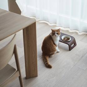 KARIMOKU CAT 宠物定制家具实木猫咪桌子防打翻护颈