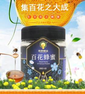 夜郎蜂业 百花蜂蜜 438克/瓶 百花精华 清香甜润