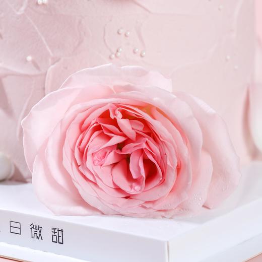 半加高|奥斯汀·粉玫瑰蛋糕【B4880】 商品图3