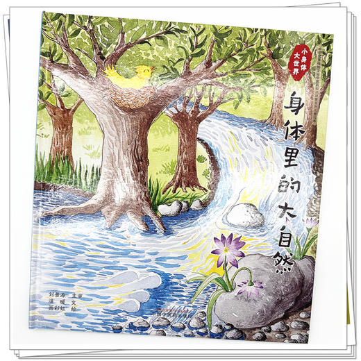 小身体大世界：身体里的大自然 温暖文 画彩虹绘 中国中医药出版社 中华优秀传统文化中医药知识启蒙系列儿童绘本 商品图3