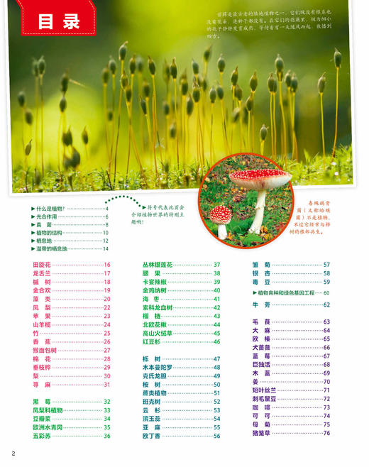《德国少年儿童动物+植物大百科》（全2册） 商品图5
