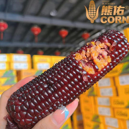 熊佑—有机黑糯玉米——非转基因，花青素含量超高，带皮带须，原汁原味！煮的时候连皮一起蒸、煮喔口感超嫩，糯糯的，甜甜的，还原玉米最初的味道！ 商品图9