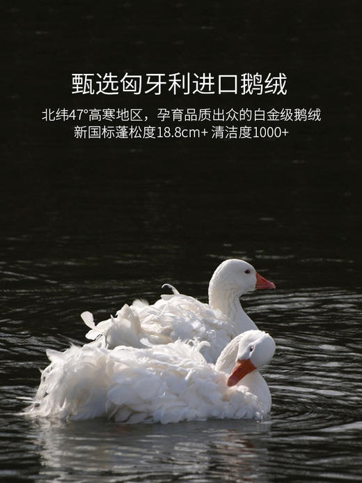 【ROYALCOVER】罗卡芙匈牙利A类婴幼儿级抗菌可水洗鹅绒被（夏被） 科莫湖畔 商品图3