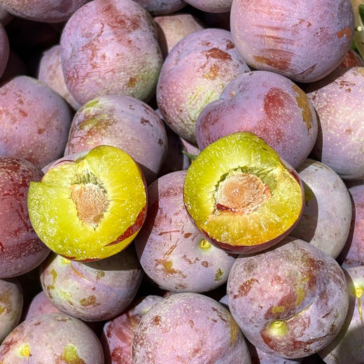 【脆甜多汁】脆红李  500g/份 商品图1