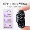 方家铺子  桑椹干500g（四星）/瓶装 商品缩略图4