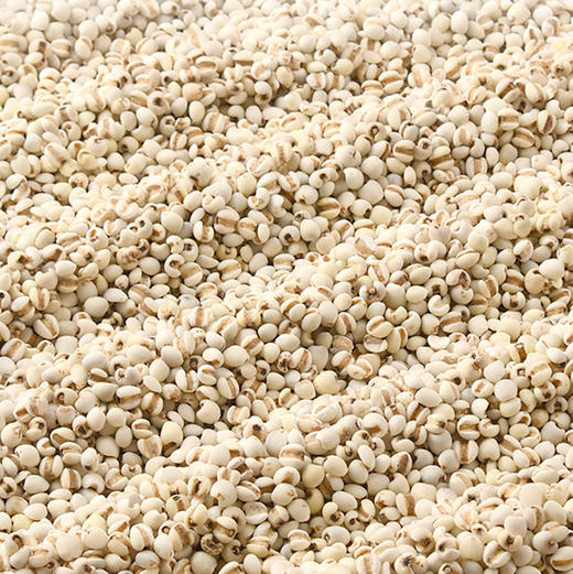 美丽农庄有机苡仁 辽宁薏苡仁薏米煲汤甜品煮水360g/罐 商品图4