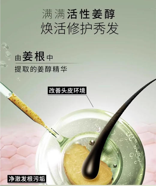 【清仓好价】施华蔻防脱洗发水200ml+生姜精华洗发水补充装200ml（效期至24年10-11月） 商品图2