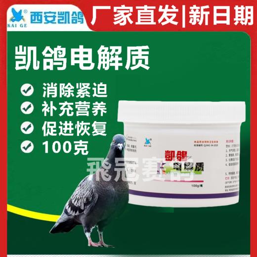 【电解质】功能型，瓶装100g（凯鸽） 商品图1