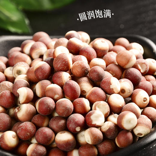 美丽农庄有机芡实 干货红皮鸡头米不硫熏炖汤320g/罐 商品图3